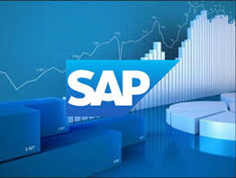 Sap Development Services